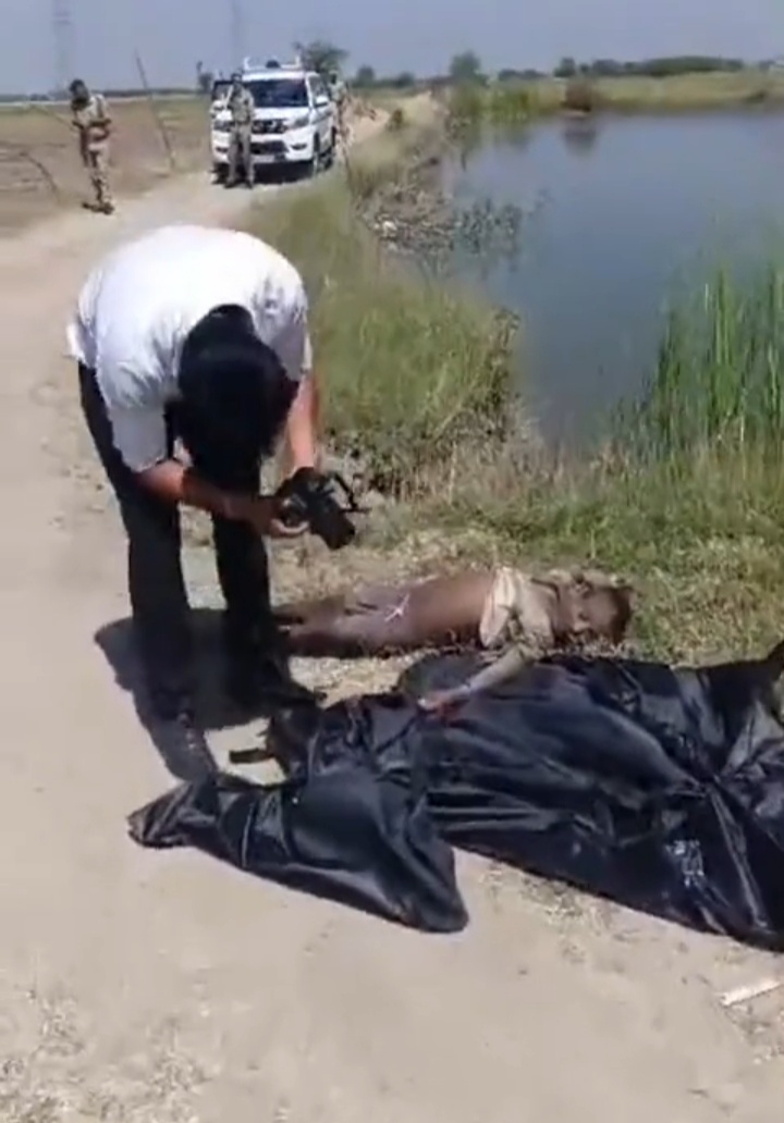 7 साल का मासूम भंडारा खाने निकला रास्ते में हुआ तेज रफ्तार बाइक का शिकार