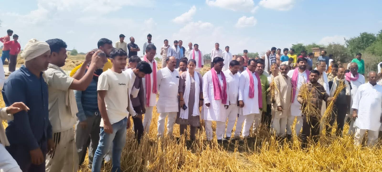 ओलावृष्टि से बर्बाद फसलों का जायजा लेने गांव-गांव पहुंचे सांसद