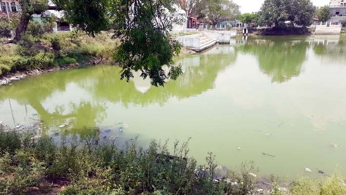 तालाब में डूबकर भाई-बहन समेत तीन मासूमों की मौत