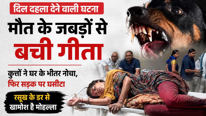 खूंखार कुत्तों ने महिला को नोचा, बैट-विकेट से बचाई जान
