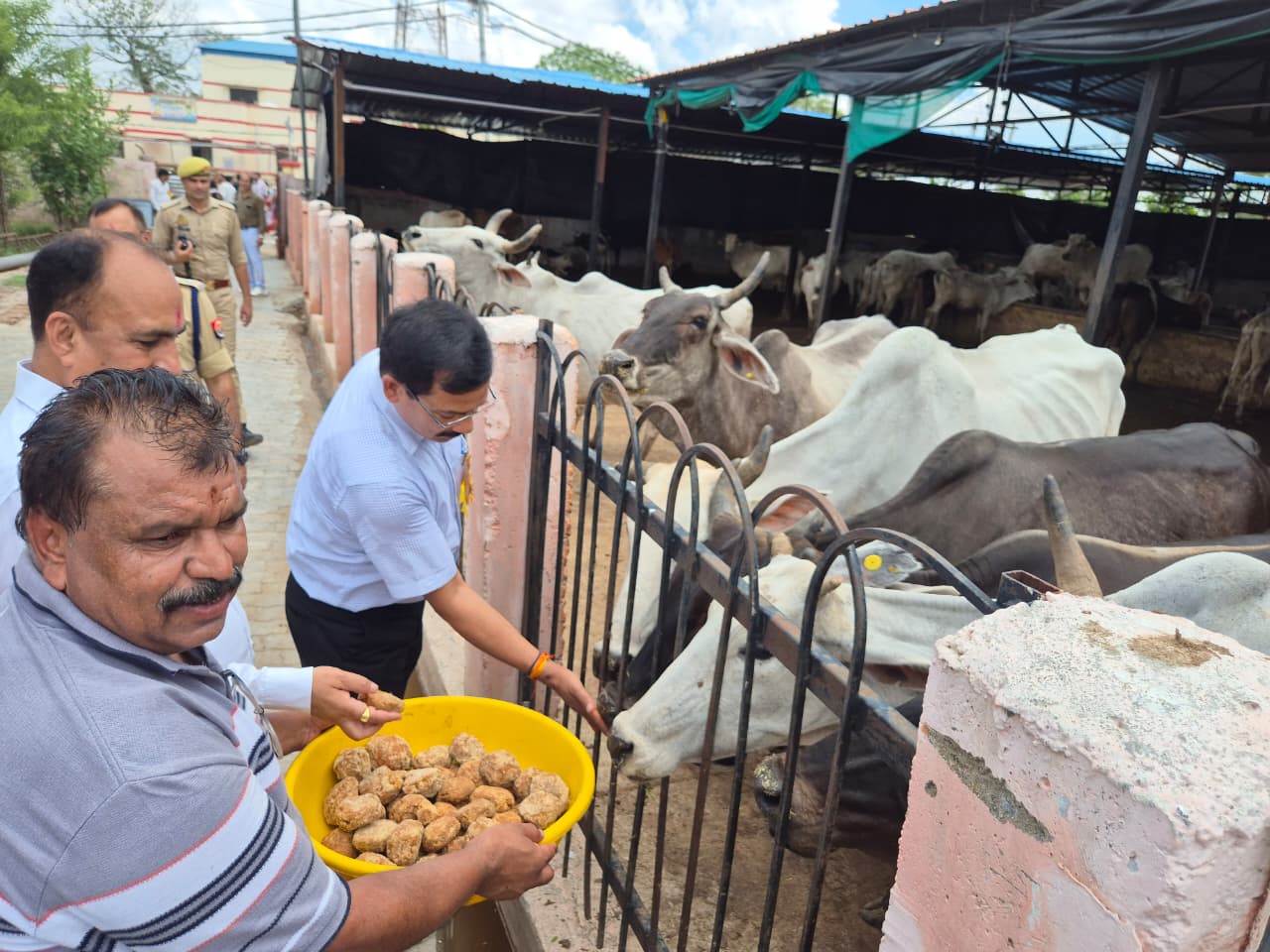 कान्हा गौशाला पहुंचे जिलाधिकारी व पुलिस अधीक्षक, व्यवस्थाओं का लिया जायजा