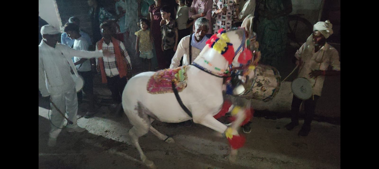 जिले में कुतिया का कुआं पूजन बना चर्चा का विषय - पहाड़ी गांव में इंसानियत की अनोखी मिसाल